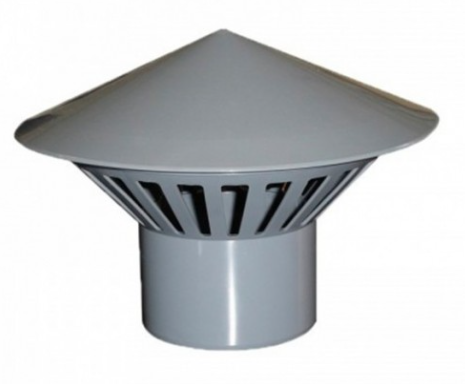 Грибок 50